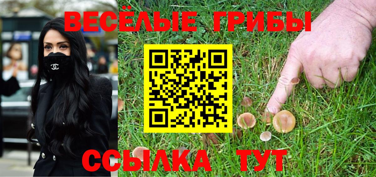 Псилоцибиновые грибы прущие грибы Ульяновск