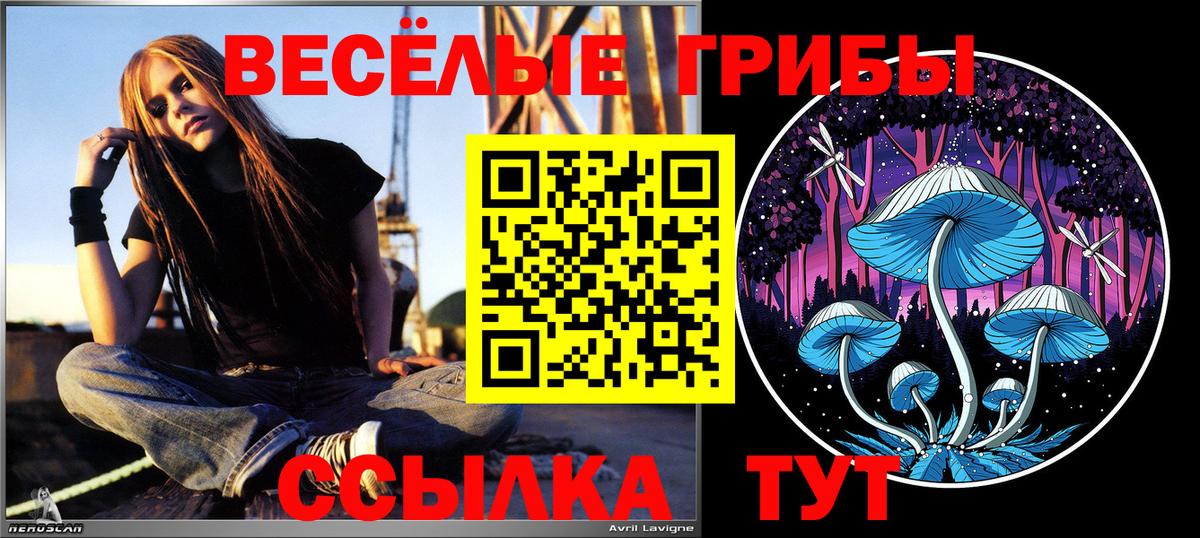 Галлюциногенные грибы Psilocybe  купить наркотик  Ульяновск  Вход с VPN 